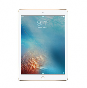 Apple IPADS On Rent in NCR